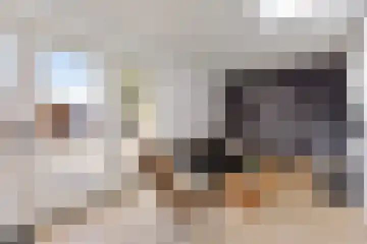 Seinelaan 37 Eindhoven thumbnail 15