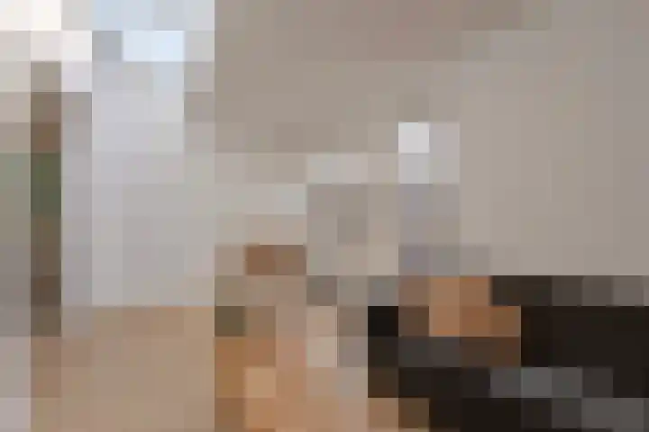 Seinelaan 37 Eindhoven thumbnail 16