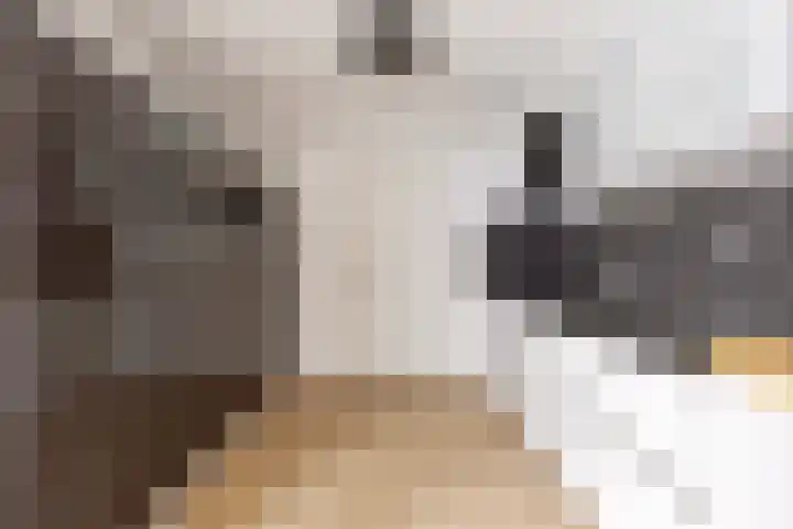Seinelaan 37 Eindhoven thumbnail 17