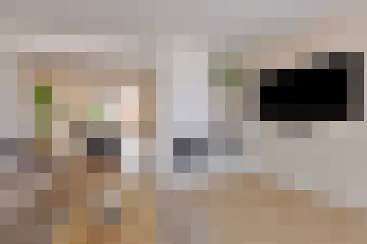 Seinelaan 37 Eindhoven foto 2