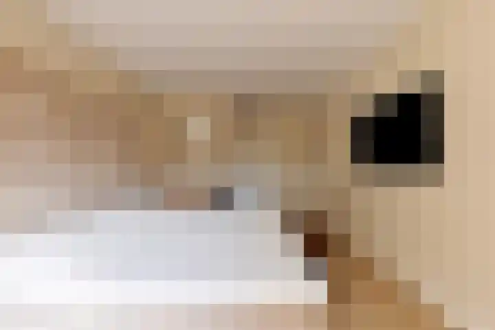 Seinelaan 37 Eindhoven thumbnail 24