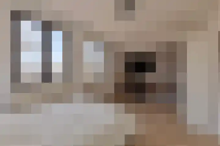 Seinelaan 37 Eindhoven thumbnail 27