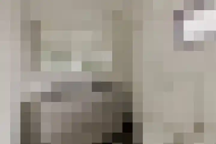 Seinelaan 37 Eindhoven thumbnail 30