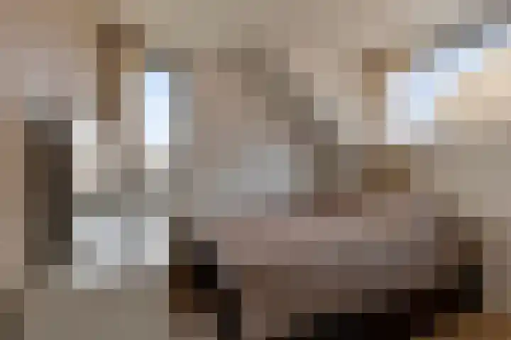 Seinelaan 37 Eindhoven thumbnail 34