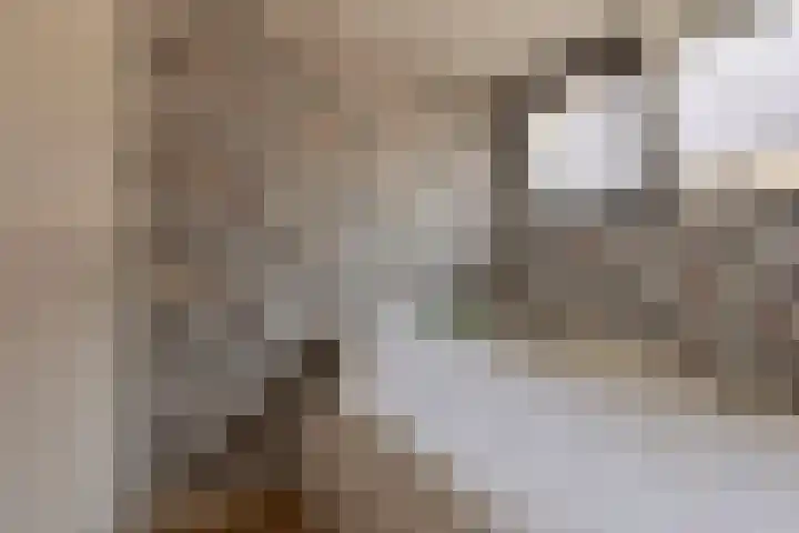 Seinelaan 37 Eindhoven thumbnail 37
