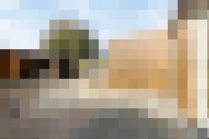 Seinelaan 37 Eindhoven thumbnail 38