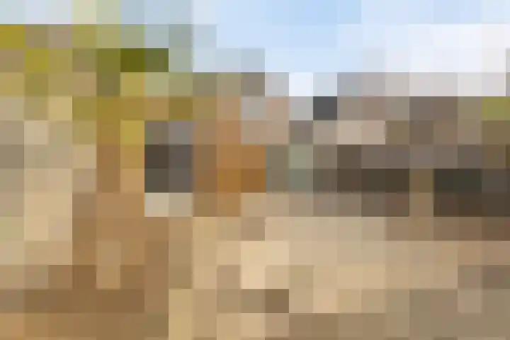 Seinelaan 37 Eindhoven thumbnail 39