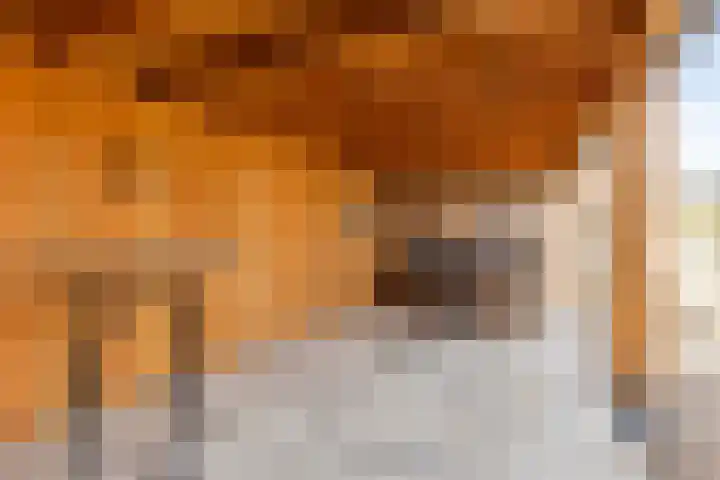 Seinelaan 37 Eindhoven thumbnail 41