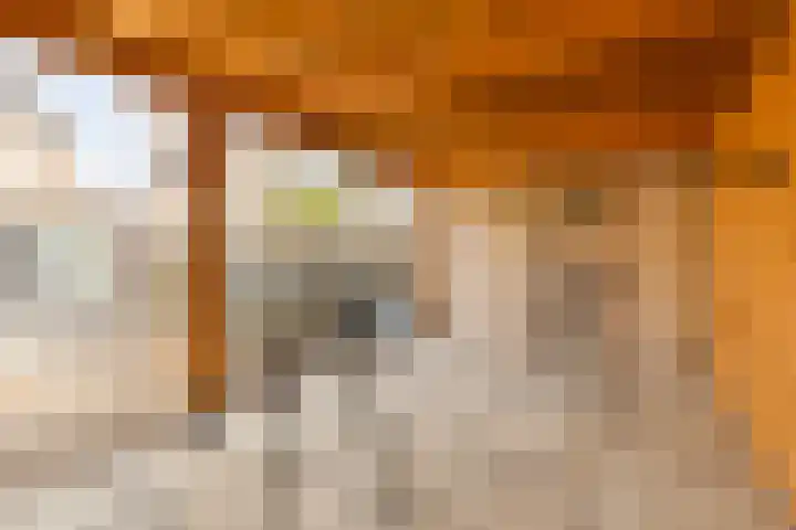 Seinelaan 37 Eindhoven thumbnail 42