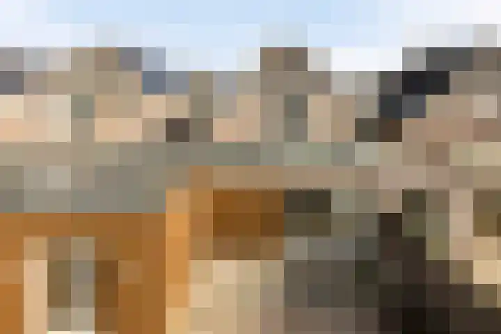 Seinelaan 37 Eindhoven thumbnail 44