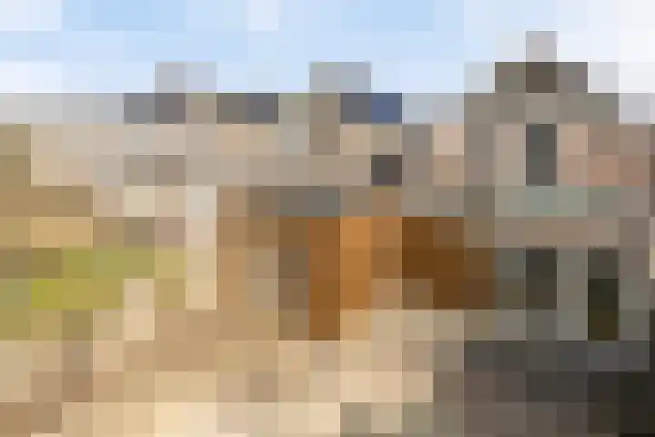 Seinelaan 37 Eindhoven thumbnail 45