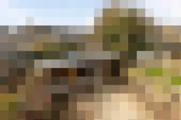 Seinelaan 37 Eindhoven thumbnail 46