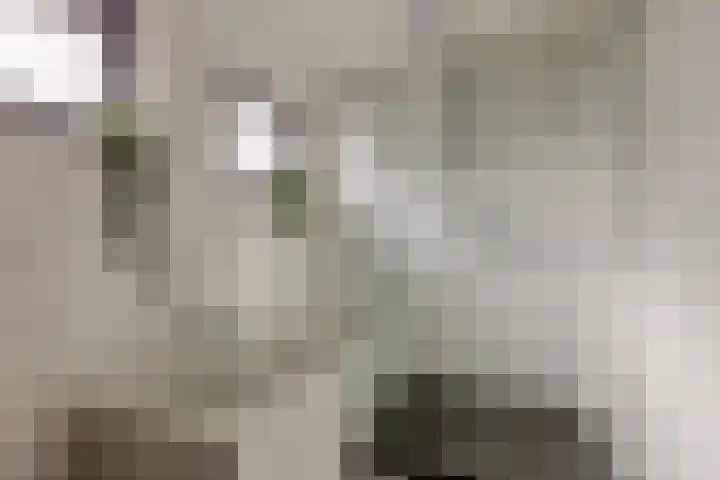 Seinelaan 37 Eindhoven thumbnail 5