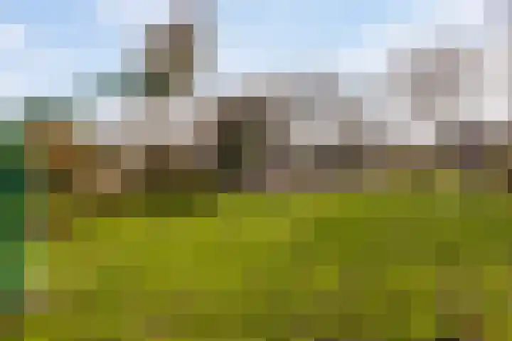 Seinelaan 37 Eindhoven thumbnail 55