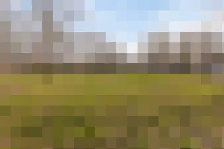 Seinelaan 37 Eindhoven thumbnail 57