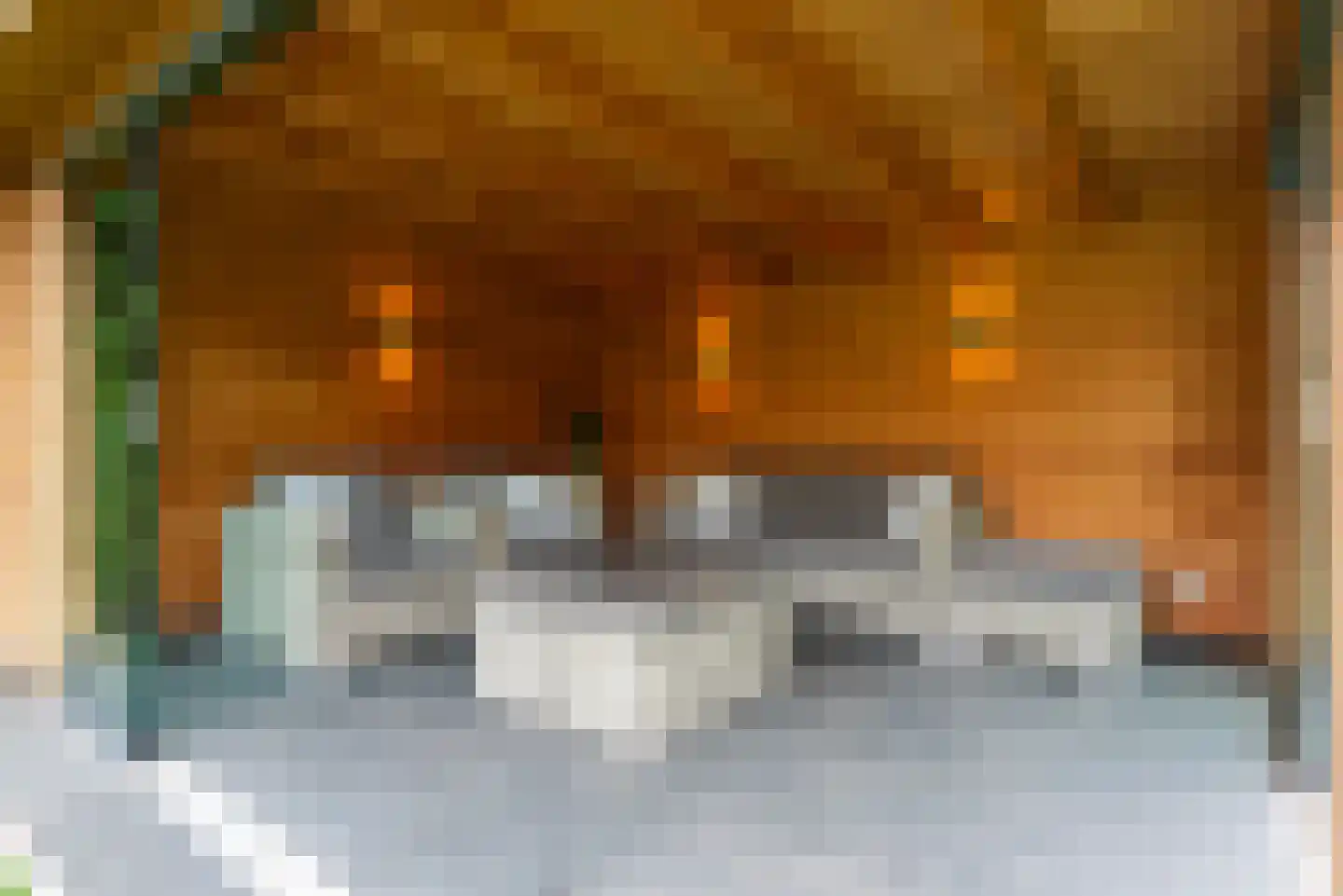 Seinelaan 65 Son en Breugel thumbnail 65
