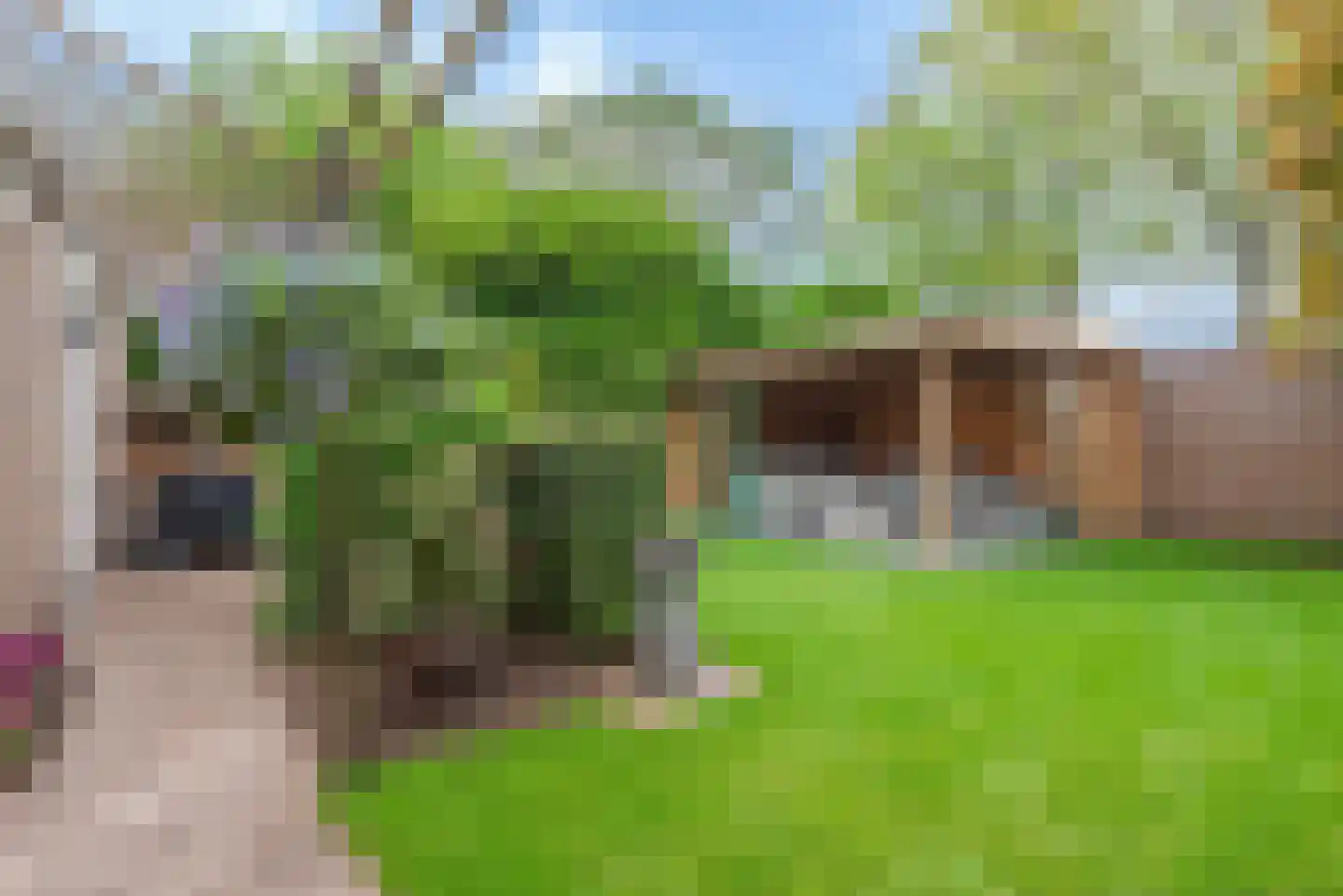 Seinelaan 65 Son en Breugel thumbnail 66
