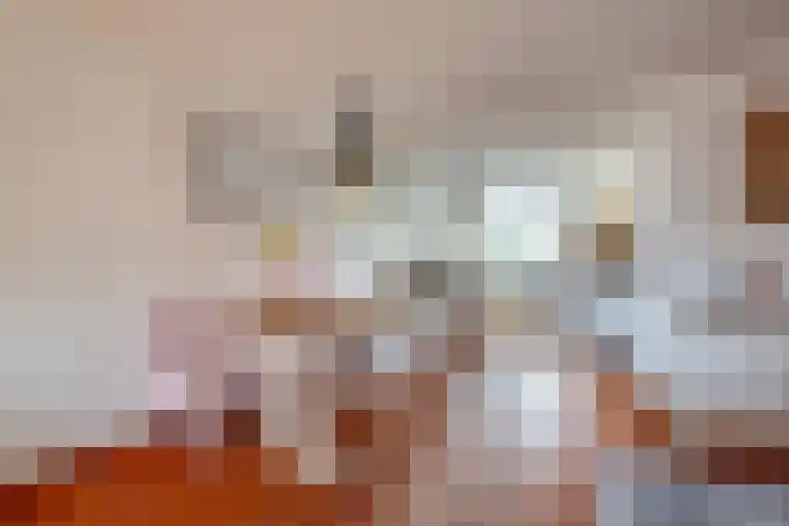 Seinelaan 7 Oldenzaal thumbnail 10