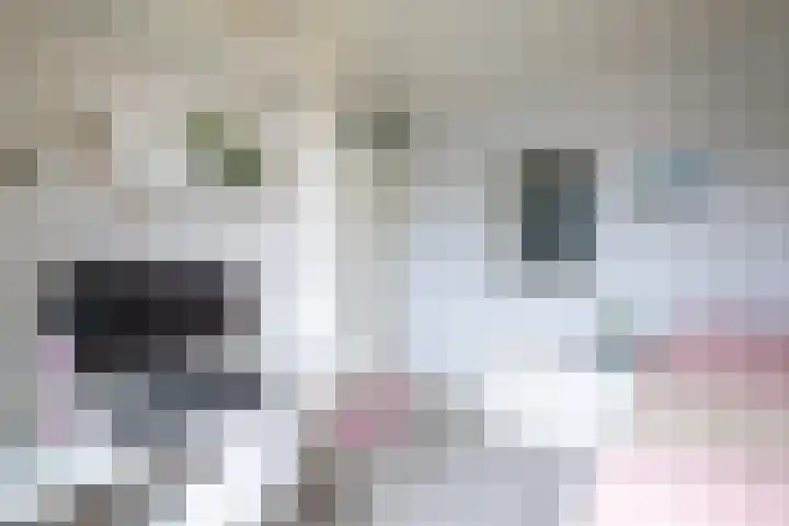 Seinelaan 7 Oldenzaal thumbnail 21