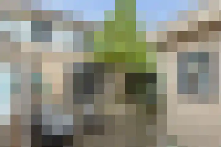 Seinelaan 7 Oldenzaal thumbnail 32