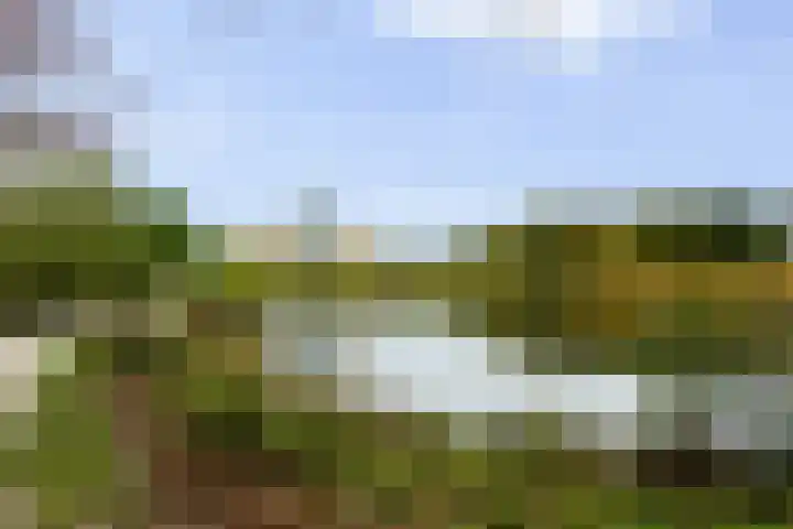 Seinelaan 7 Oldenzaal thumbnail 33