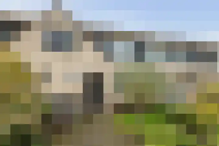 Seinelaan 7 Oldenzaal thumbnail 4