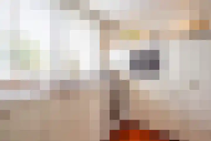 Seinelaan 7 Oldenzaal thumbnail 7