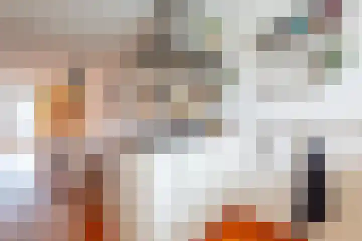 Seinelaan 7 Oldenzaal thumbnail 8