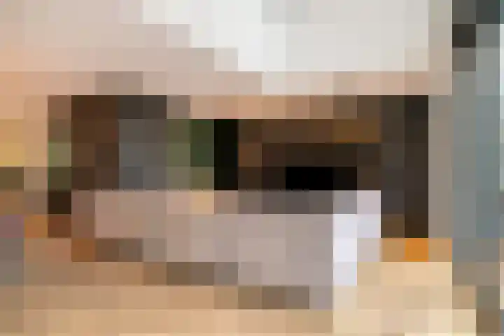Seinelaan 87 Eindhoven thumbnail 16