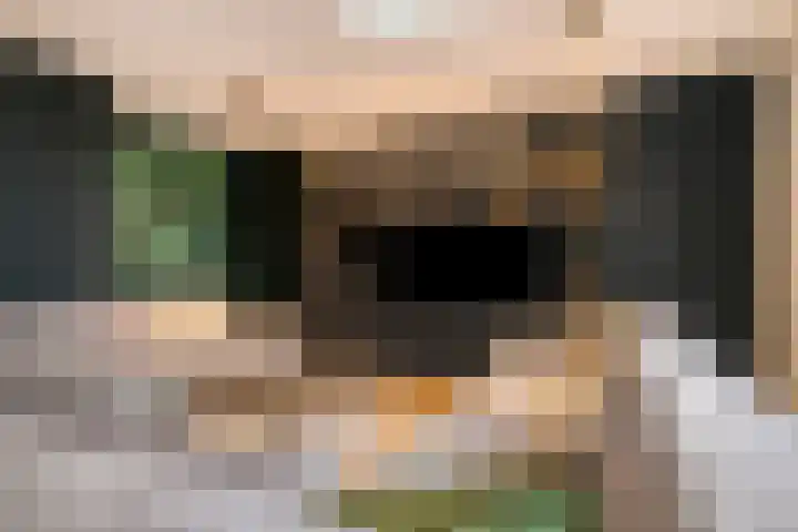 Seinelaan 87 Eindhoven thumbnail 17