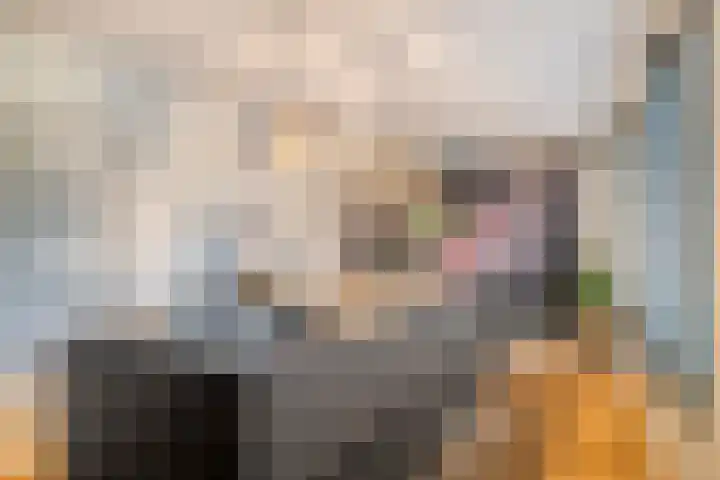 Seinelaan 87 Eindhoven thumbnail 25