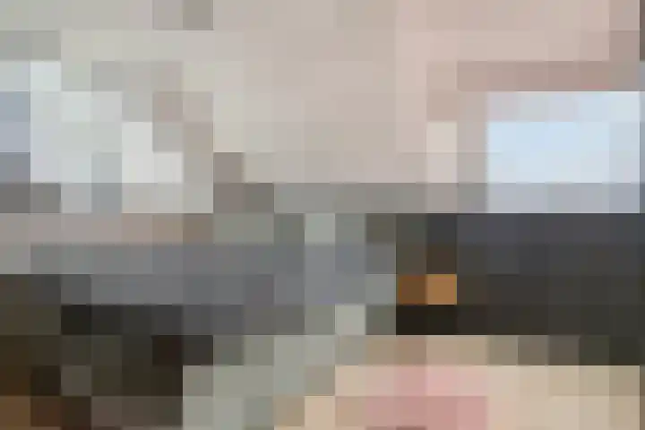 Seinelaan 87 Eindhoven thumbnail 34