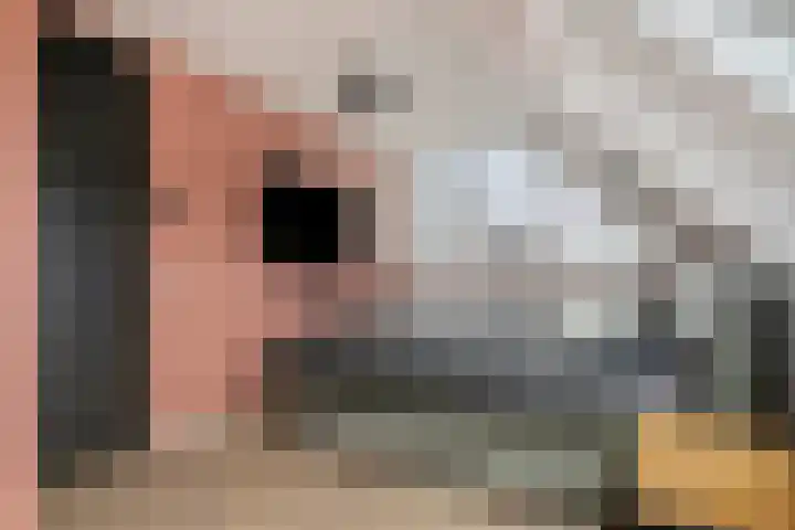 Seinelaan 87 Eindhoven thumbnail 35