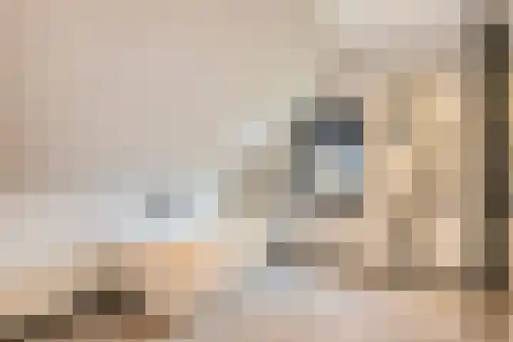 Seinelaan 87 Eindhoven thumbnail 38