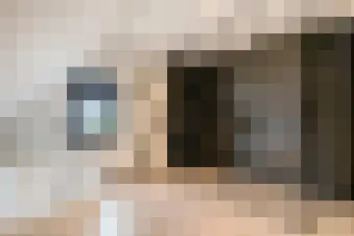 Seinelaan 87 Eindhoven thumbnail 39