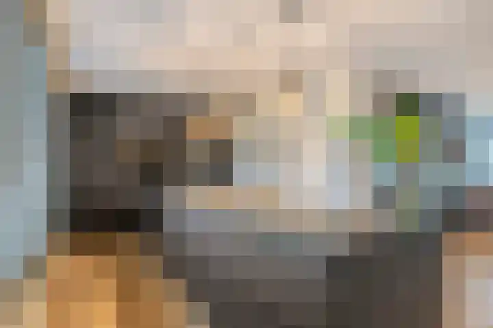 Seinelaan 87 Eindhoven thumbnail 4