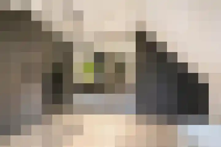 Seinelaan 87 Eindhoven thumbnail 40