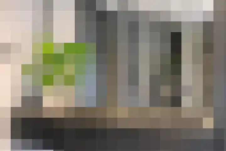 Seinelaan 87 Eindhoven thumbnail 41