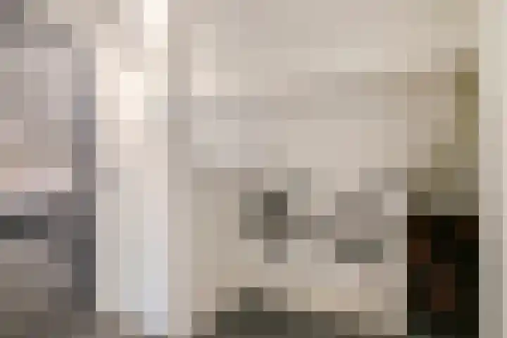 Seinelaan 87 Eindhoven thumbnail 47