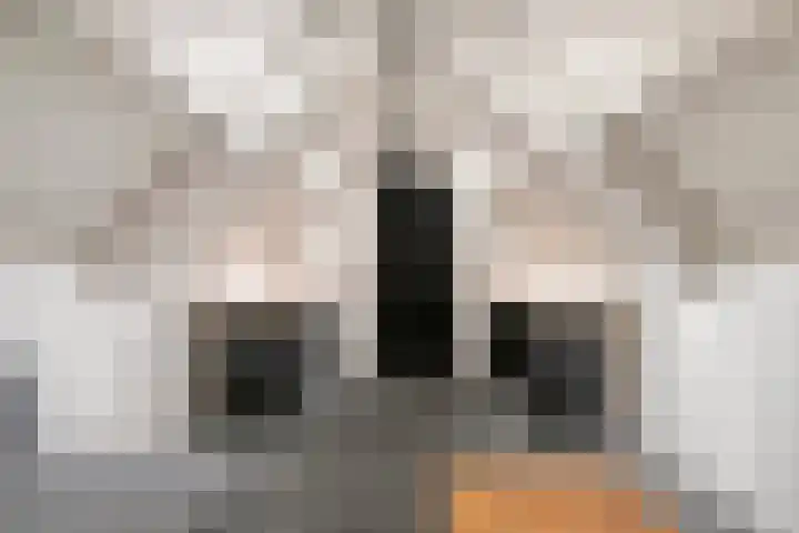 Seinelaan 87 Eindhoven thumbnail 49