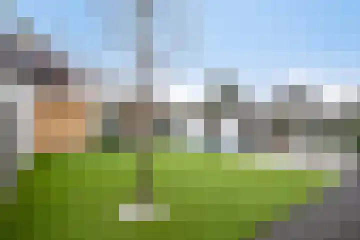 Seinelaan 87 Eindhoven thumbnail 53
