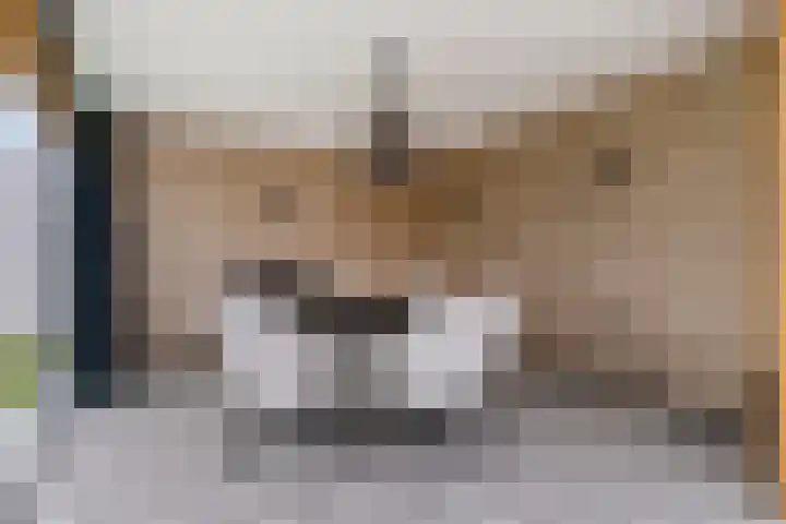 Seinelaan 87 Eindhoven thumbnail 56