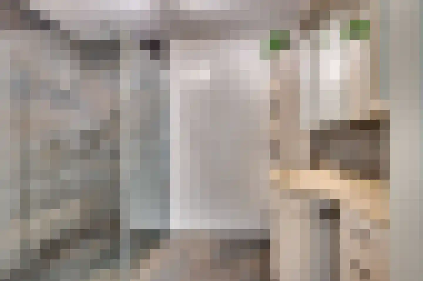 Seinestraat 18 Venlo thumbnail 29