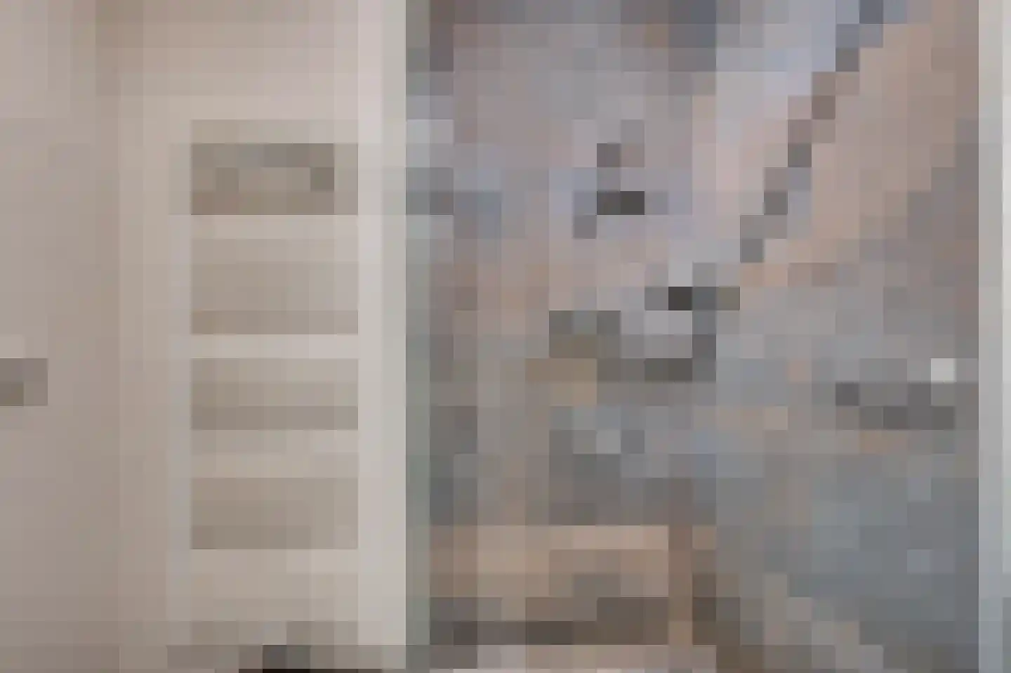 Seinestraat 18 Venlo thumbnail 30