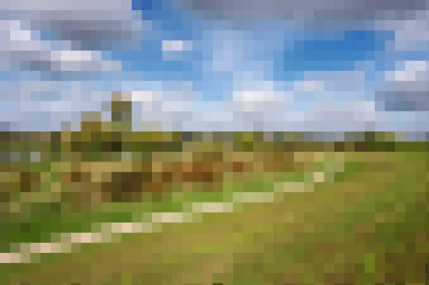Seinestraat 18 Venlo thumbnail 35