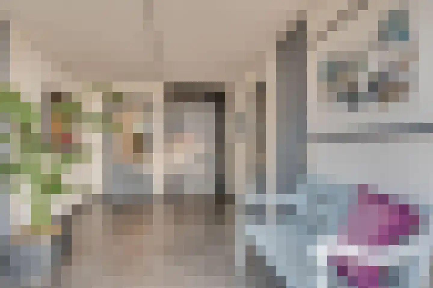 Seinestraat 18 Venlo thumbnail 5