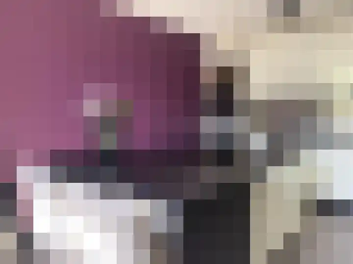 Seinestraat 24 Spijkenisse thumbnail 15