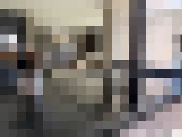 Seinestraat 24 Spijkenisse thumbnail 16