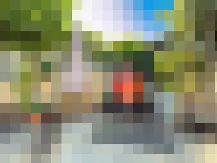 Seinestraat 24 Spijkenisse thumbnail 21