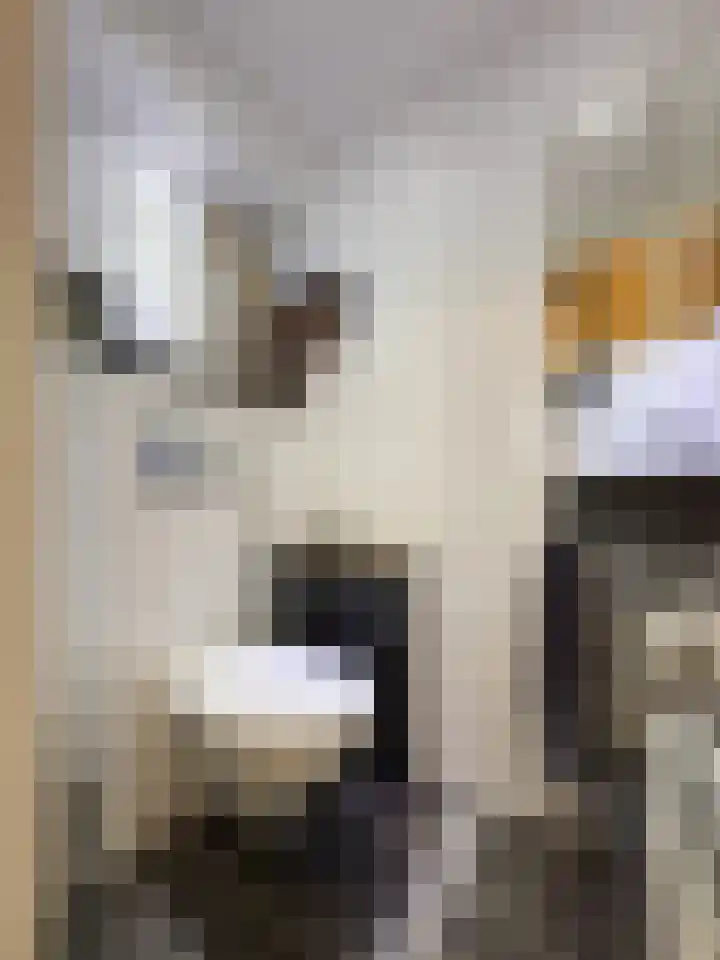 Seinestraat 24 Spijkenisse thumbnail 22